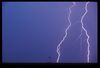 2-Lightning_Bolts-Electric_Plains.tif.jpg