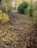 Autumn_Creek.jpg
