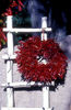 Chimayo_Chili_Ristra.jpg