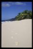 Footprints_in_the_Sand,_British_Virgin_Islands.jpg