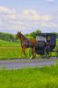 Heading_Home_1.jpg