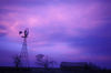 Homestead_Dusk.jpg