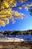 Image4.tif-Rockport_Harbor.tif.jpg
