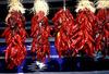 Indian_Blanket_and_Chilis,_Taos,_NM.jpg