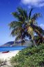 Landing_at_Sandy_Cay.jpg