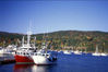 Maine_North_East_Harbor.jpg