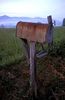 Mom_s_Mailbox.jpg