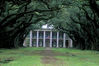 Oak_Alley.jpg