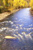 Roaring_Fork,_Aspen_Colorado.jpg