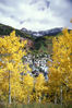 Telluride_Autumn.jpg