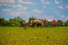 untitled-1068-2.jpg